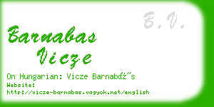 barnabas vicze business card